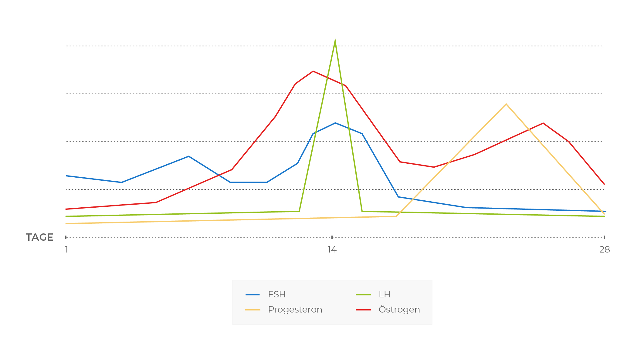 infografik-fsh-und-lh-zyklusverlauf