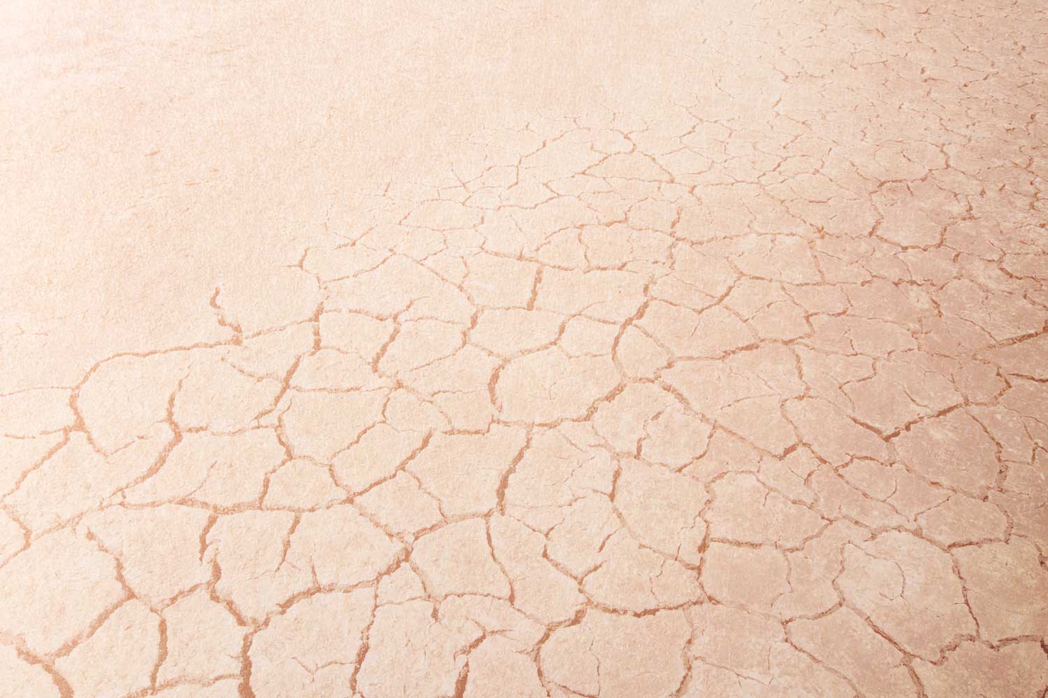 Vitamin E Mangel – Wie ein Mangel an Vitamin E die Gesundheit beeinflusst und wie du ihn verhinderst. Vitamin E Mangel: Symptome und Auswirkungen eines Vitamin E Defizits auf den Körper.