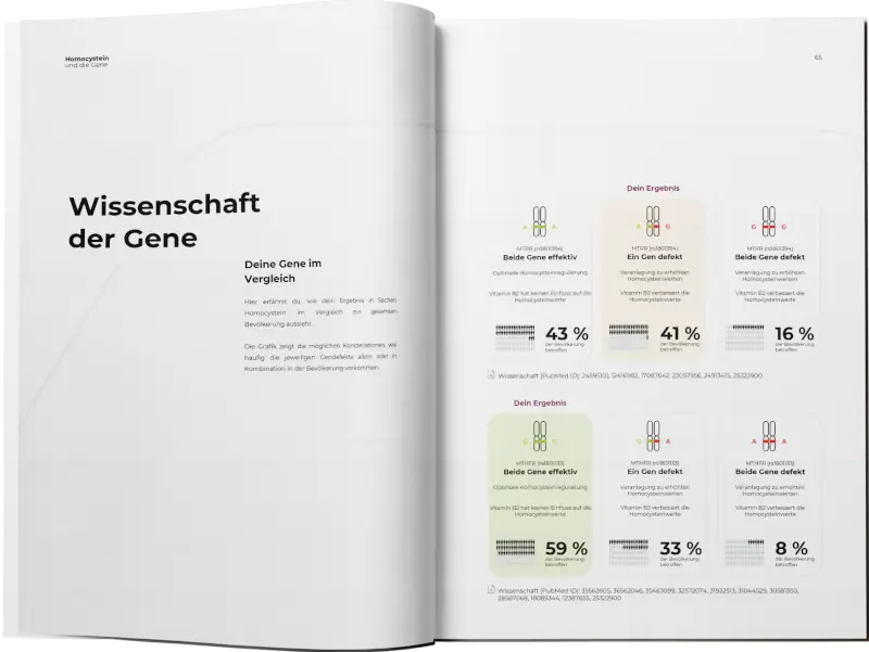 Bericht Seite 3