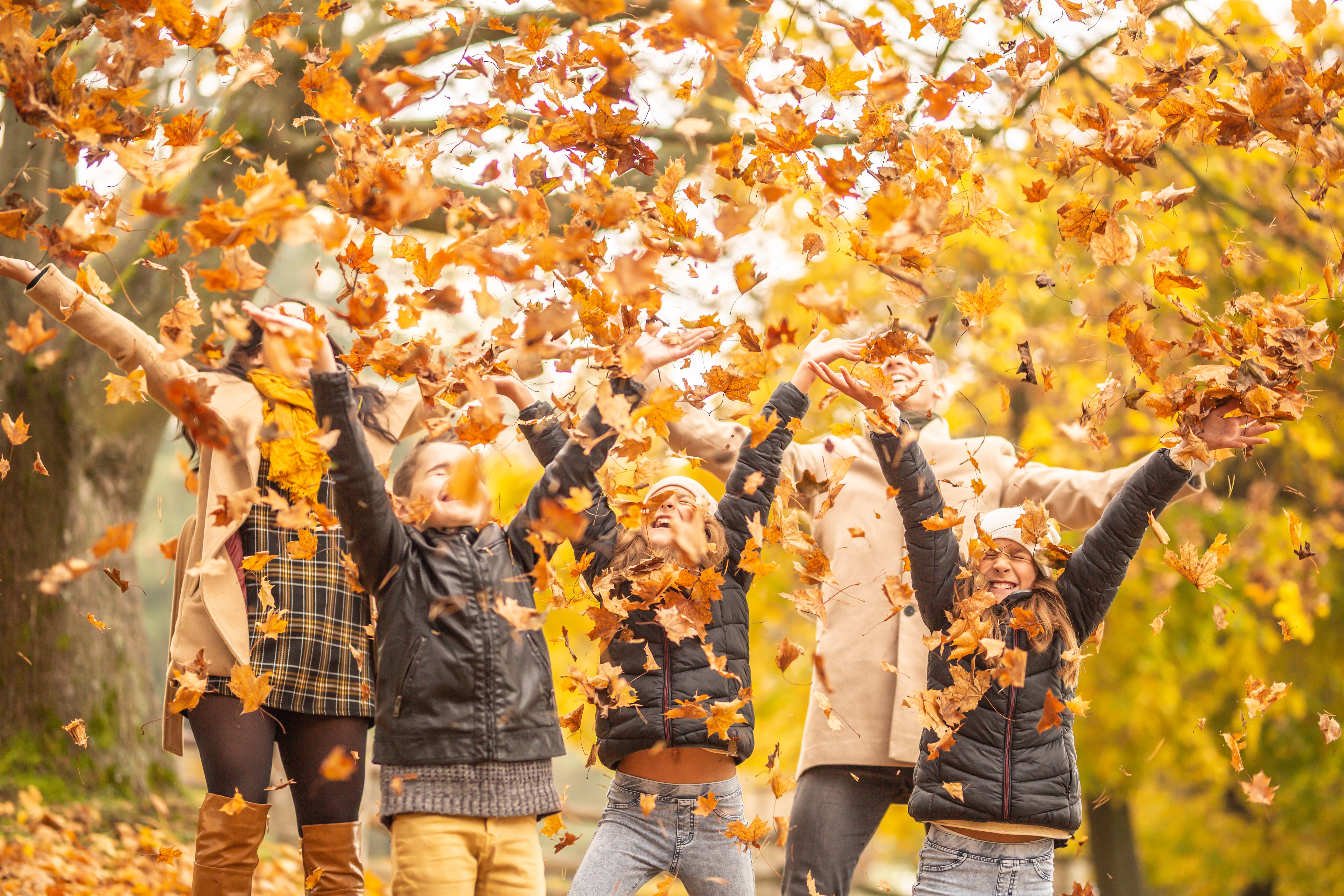 spiele-tipps-herbst