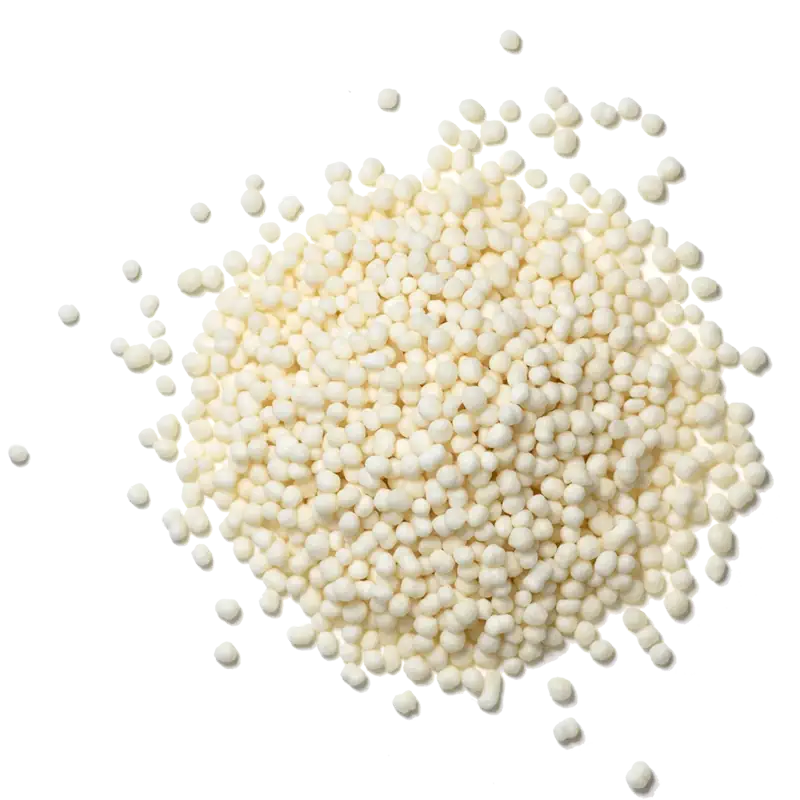 Phytosterol_800