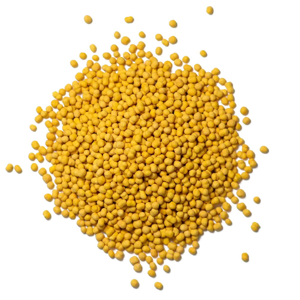 Coenzym Q10_800