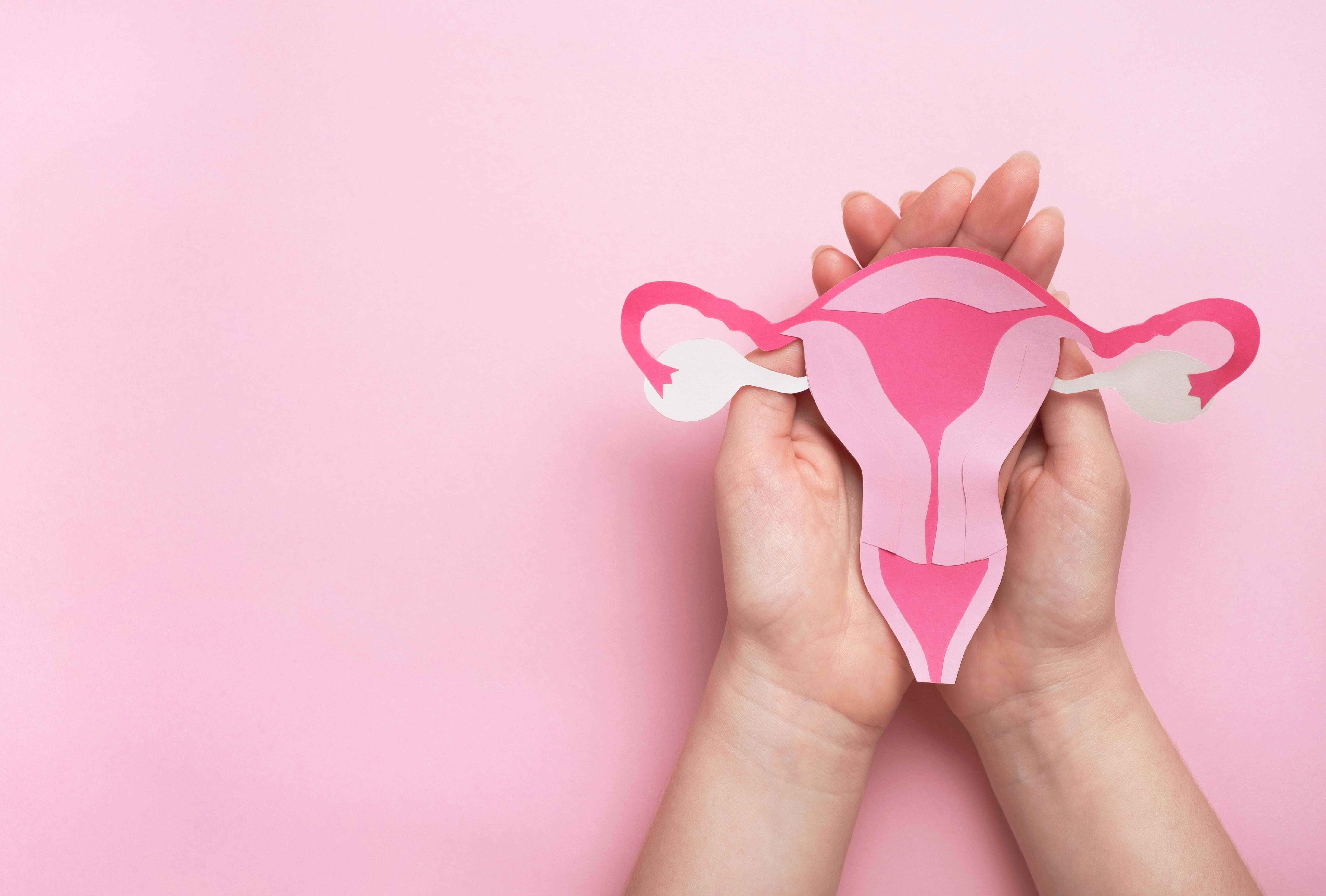 oestrogen