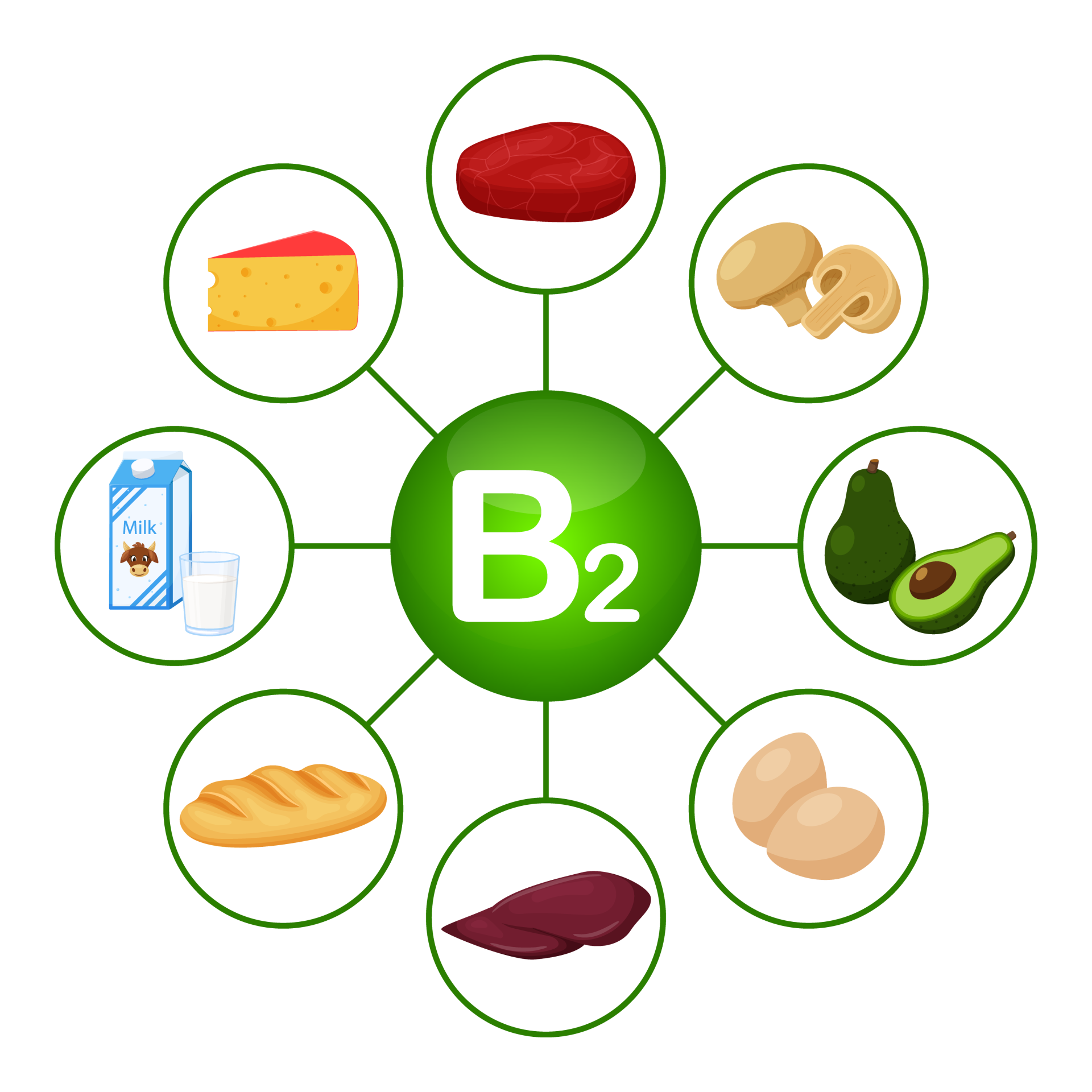 Vitamin B2: Wirkung & Tagesbedarf | NovoDaily Ratgeber