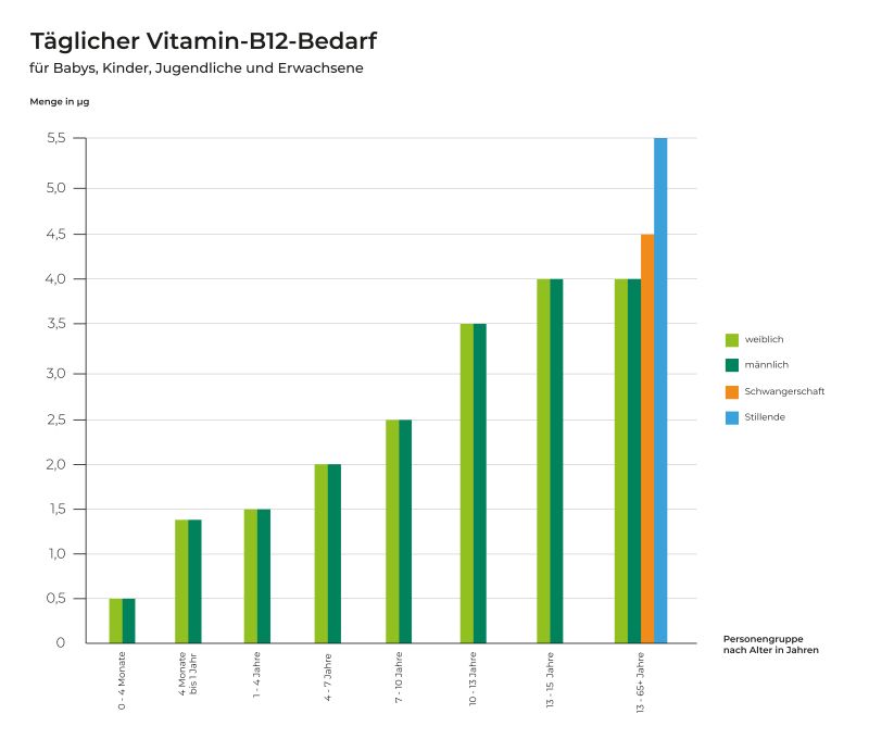 Vitamin B12: Wirkung & Tagesbedarf | NovoDaily Ratgeber